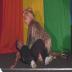 alaskapride.org - pridefest