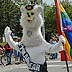 alaskapride.org - pridefest